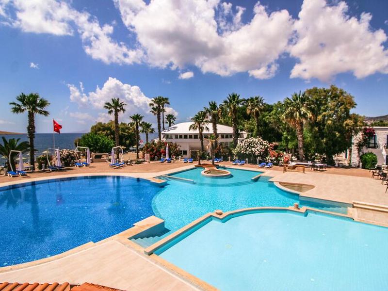 A79C0BBB2D23AF8D39A6A8200F9CD04A