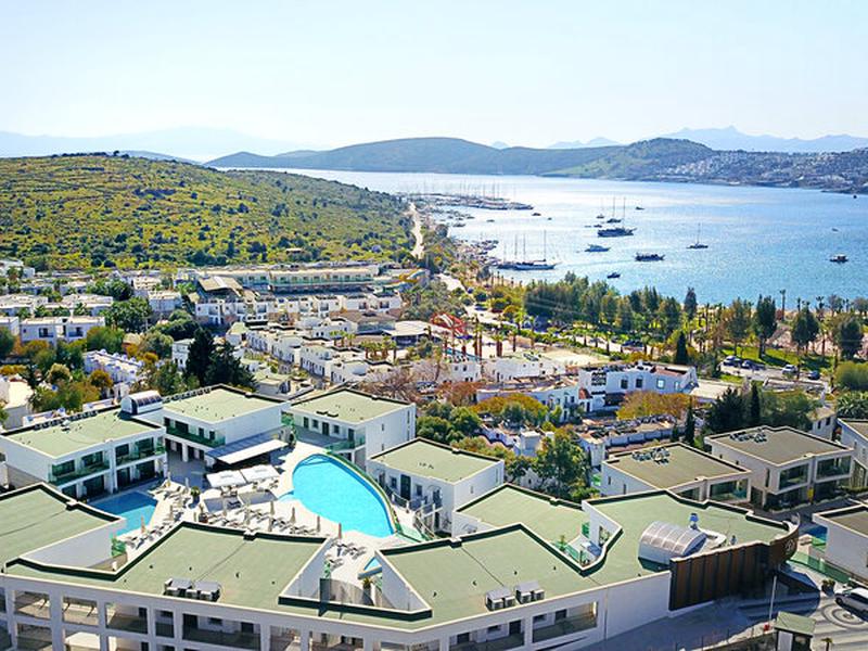 DD24F0075231272FB720A99B4371FA09