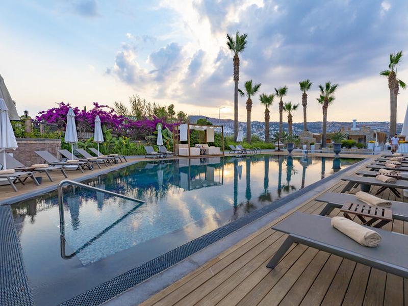 25792DCD9034475439FDEBD4C30A0D2C