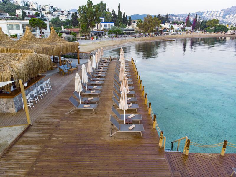 CA668E3FBABE12EE817829124EB08023