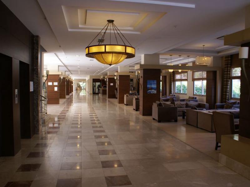 913A51B1A6113872BD3BC6990F3878B1