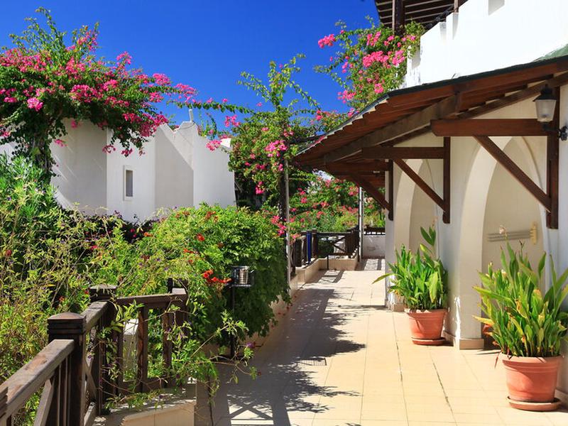 AD428A5C68B7825CF9E02E16B430538B