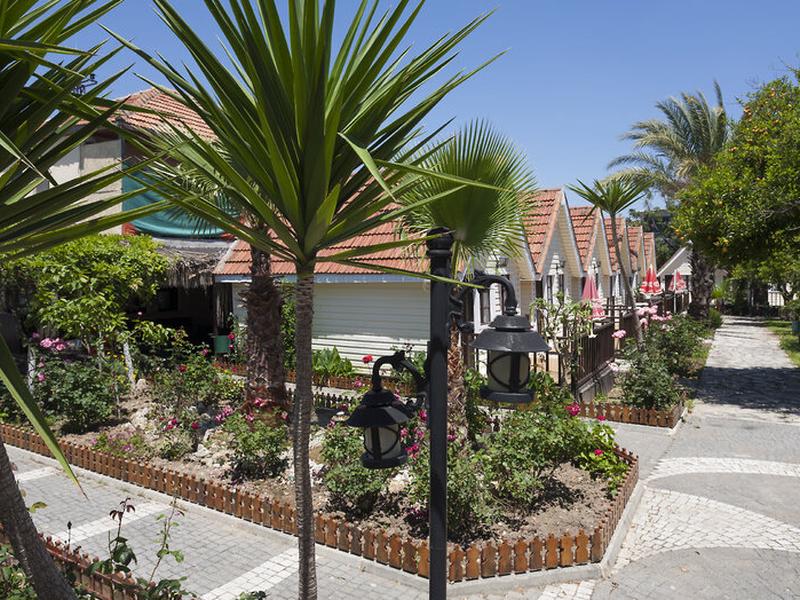 B8CC2A155D302014D21509C260C1E5C9