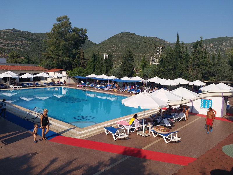 33572DC208A9BE8E9E234BFD390D8237