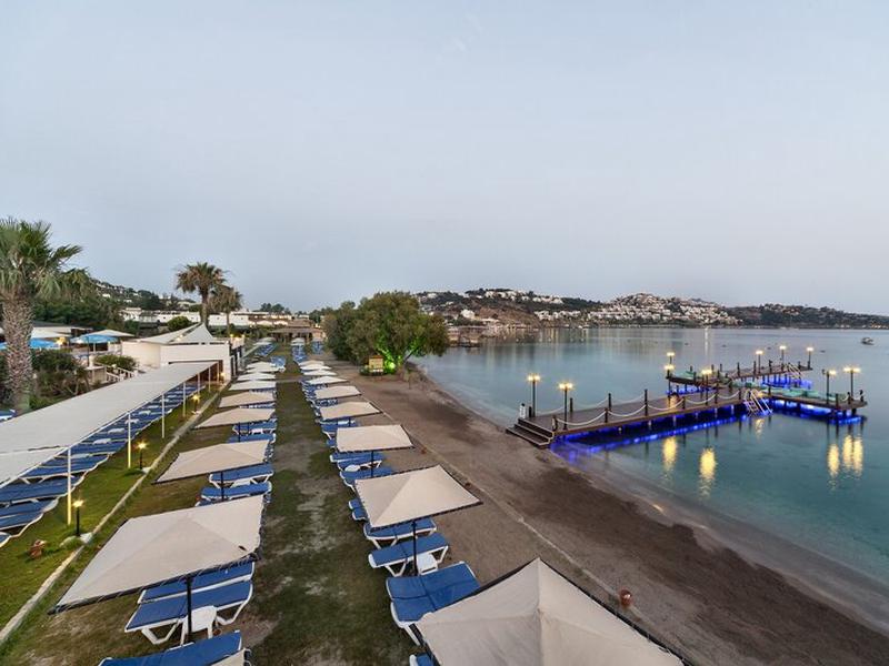 099510CD0572E754B8E901CE74444596