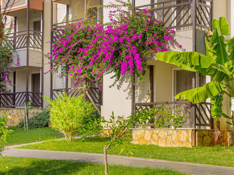 B3303A345FC6F47BB34D181C78363ABA