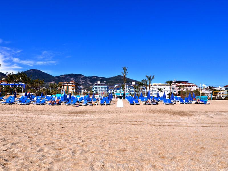 942EFC3C0312B29AB2567E4E0EDE2393