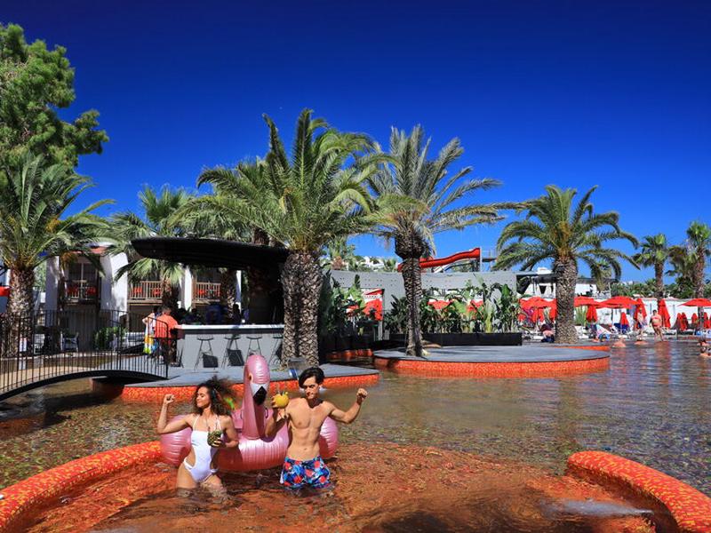 3CE566CDD57ECC2C4F2EA3DAF77E954C