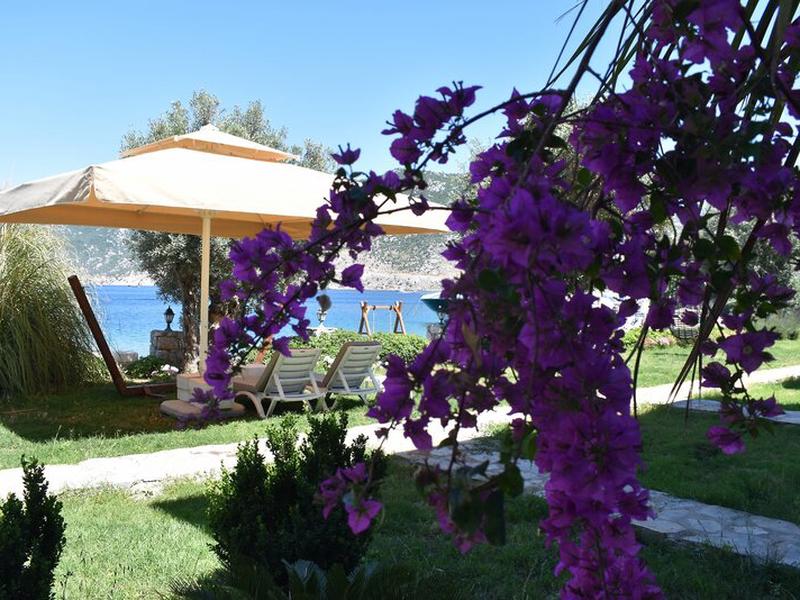 B7413FC2E374610D41130692574033AE