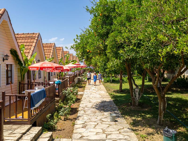 72ECE77DBE14F6FE542E7B14D38017EB