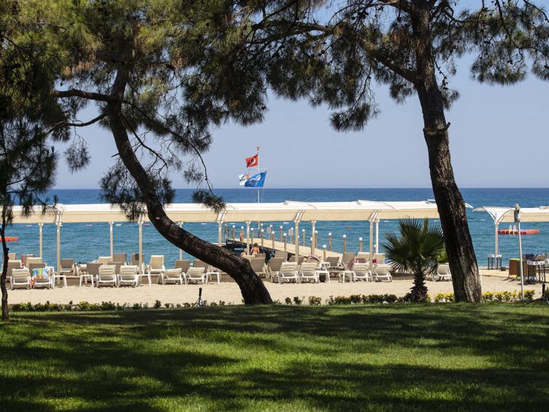 DF922996939C3CC562FEF9ABB14A997D