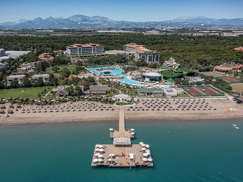 B55A45E1A065F848231AAFAE43180372