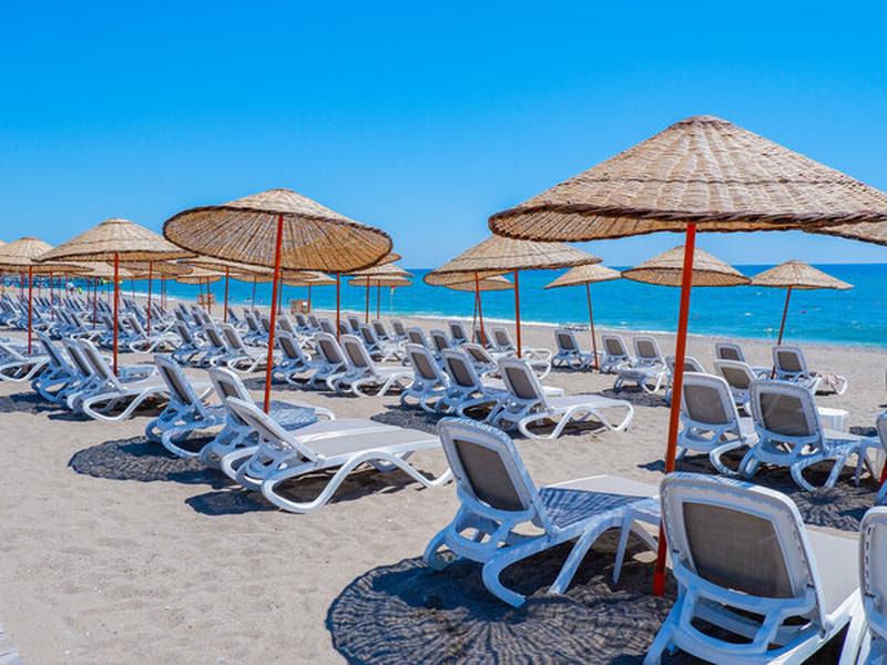 9A96A1BFBF34764FFB73CA70F205C055