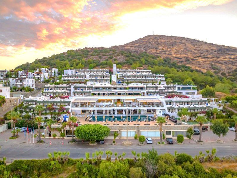 869BFD8B6ADF1834DB0FD8D9D05D7352