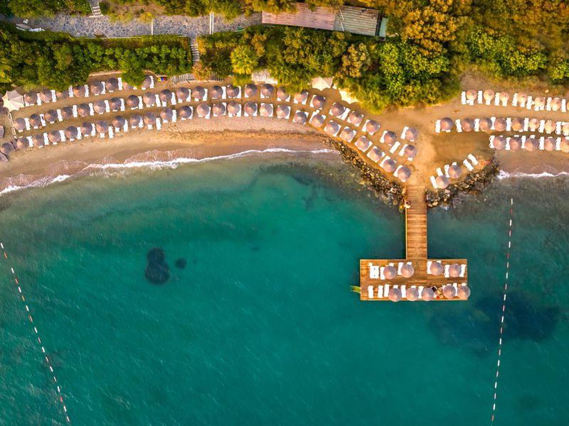 EE247563A7EA99B98283ACA86CED057C