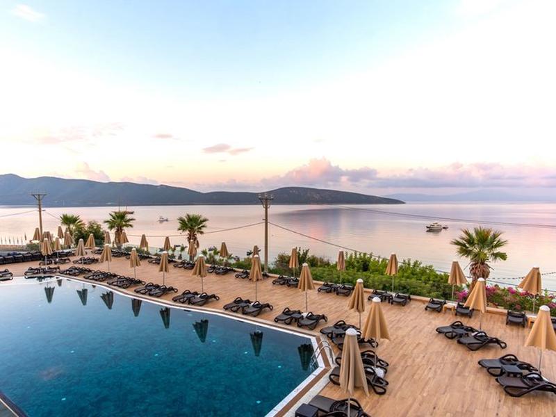 6F9B6869E17015A71256A6C72D92937B