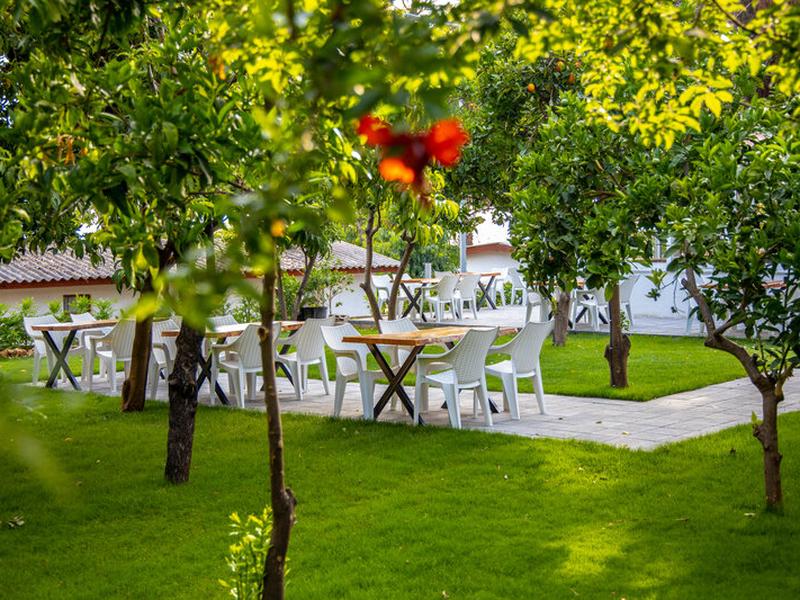 8988D1C176039782ADDD468ED312641C