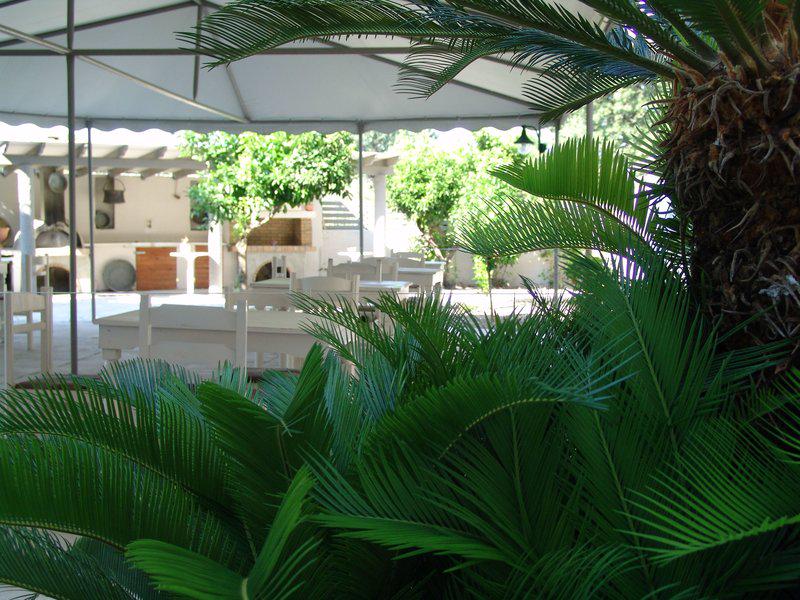 582FC9FF45650B752DC0895A5E7E4DCB