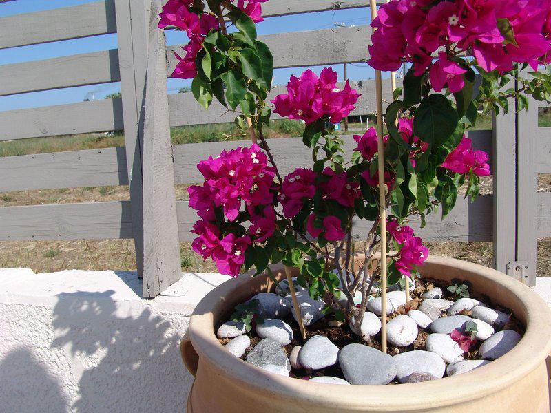 A96027F2D06C9C706B1BB062E28A83D9