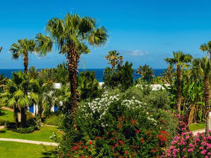 1577A3EF08338123752D61231CF7FA41