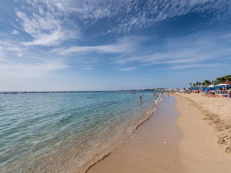 1C40ACE4FF435BABA14E500807815CA5