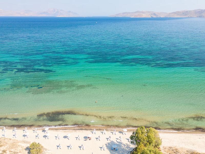 02991DEEE09D99D4B26207AF59337458