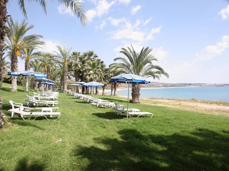 E86EEBF2A24D01F9A73E559C09A553CB