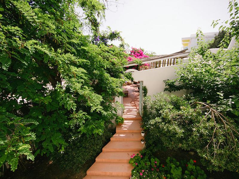 AE896C663FD5ABEB39560F38D4ACF48A