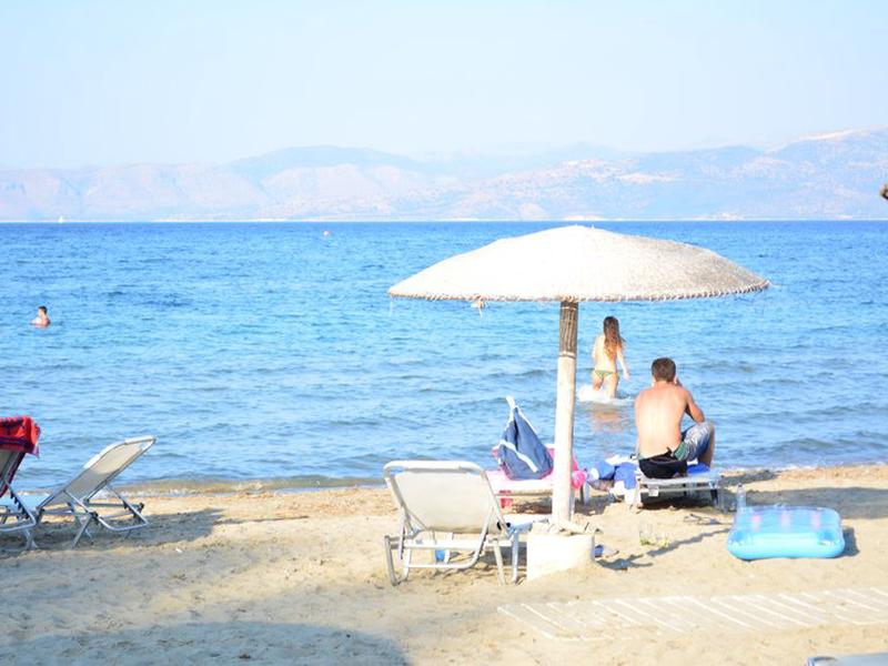 95CB25437B24B50A63203F5AA1DFB54D