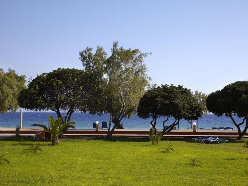 E8FDC9595395488497D8B6C917884533