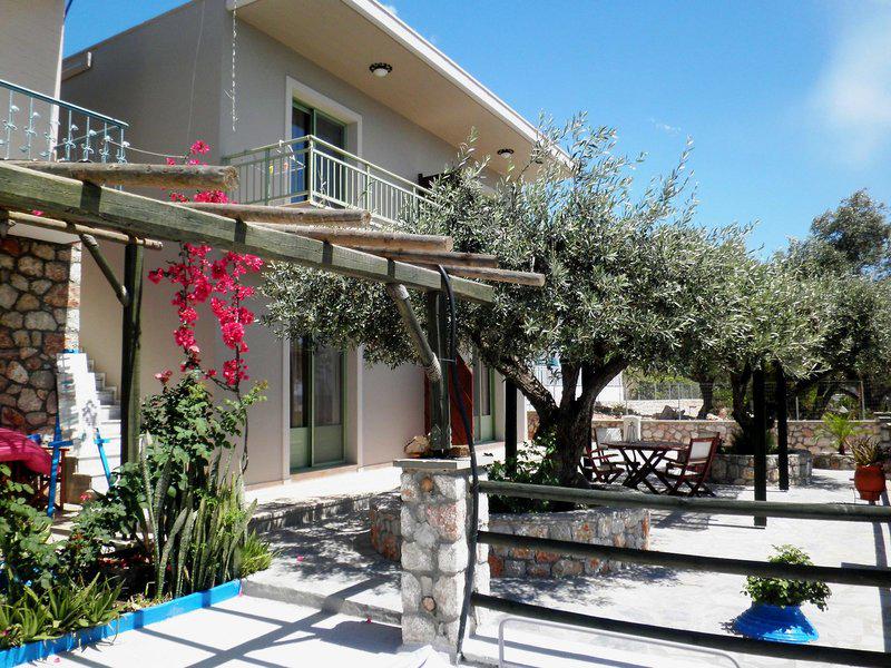 C77AB46C73A9CBAE334FBD3F64644B3B