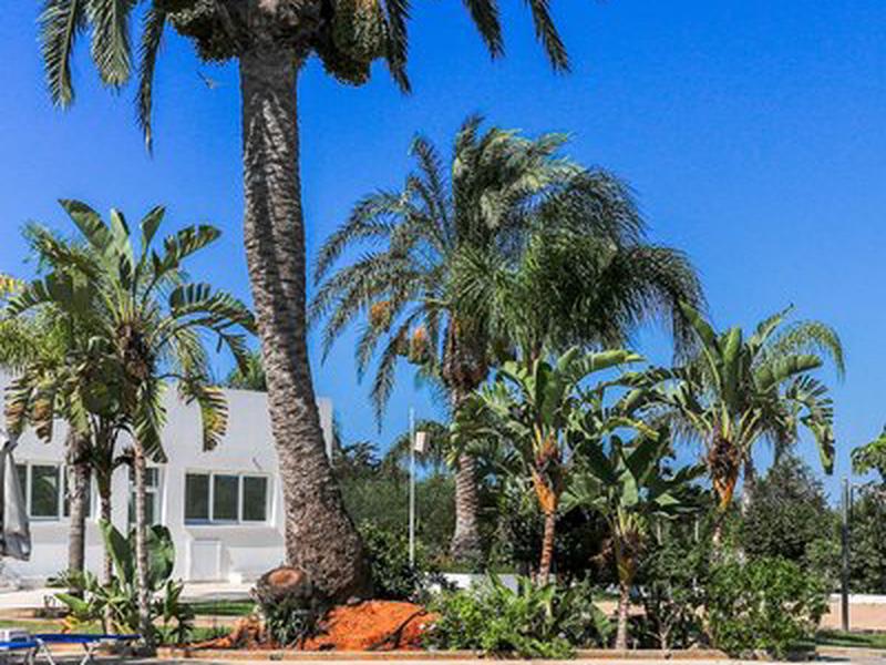 352E4EAF3126BB665FAF426E03F9933D