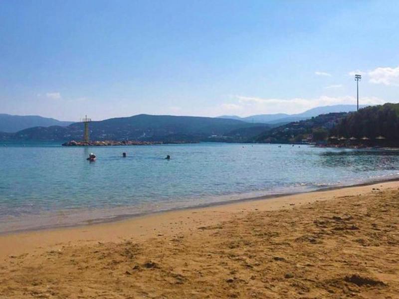 729B7C54B1D045C74F41F10984E90A37