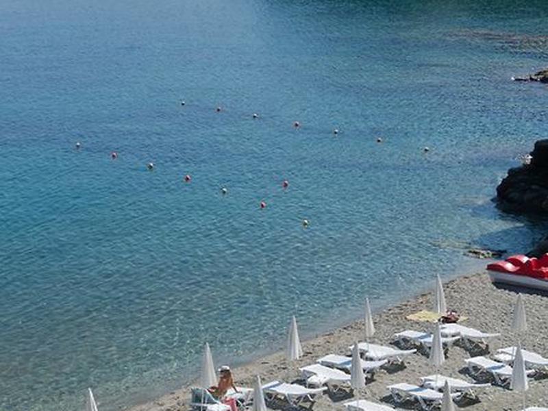 8DDDA03EDB1079216D50574438848438