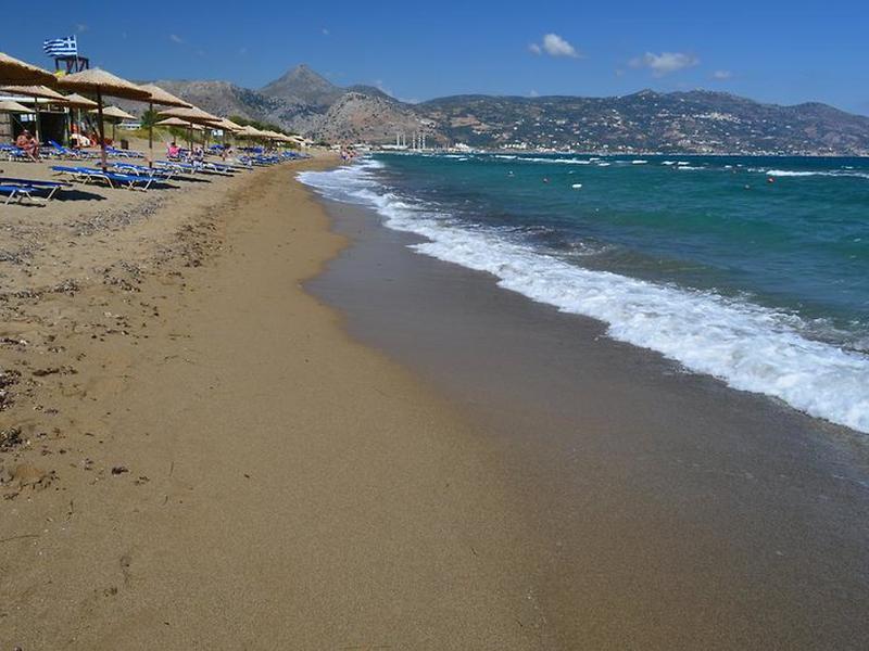 1F801584D41B0348A50C6F220B171B5D