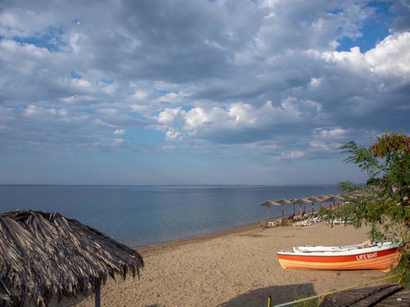 5D1D0D3765A99E9DBBE9EAF95E733A57