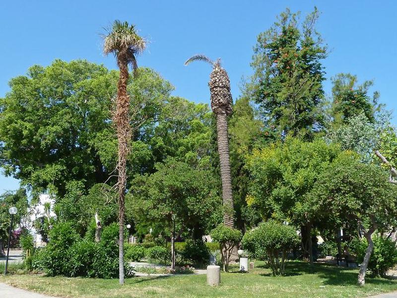 E2CF1C9D2D475BA0FC3643924BD6ACEE