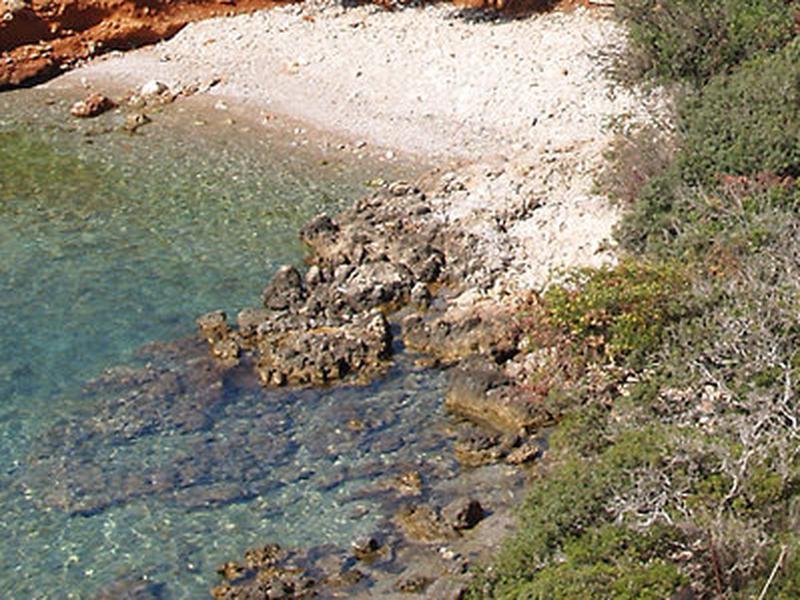 D8685FF2CFE88F92C1313005D0F0A4B5