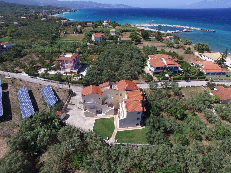 7811B0055319C41D4FD729AE72BC9152