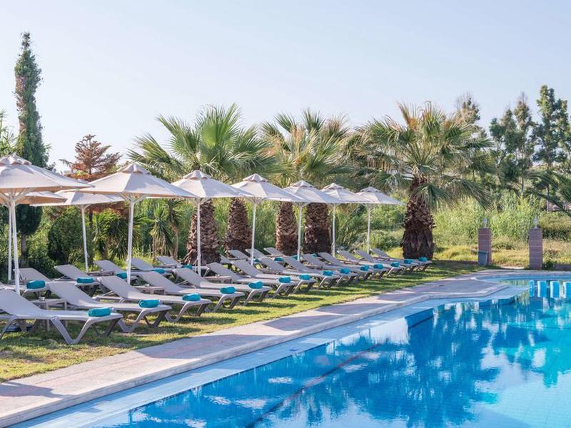 8F0B008A64A07ED1D145A32AA9E9A3F1