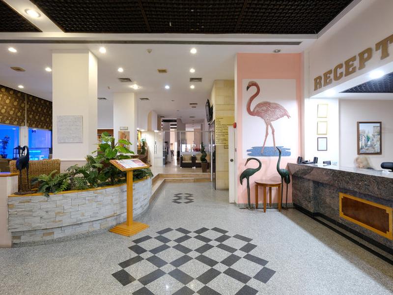 36D79CDE0893C49CA2D409921176332F