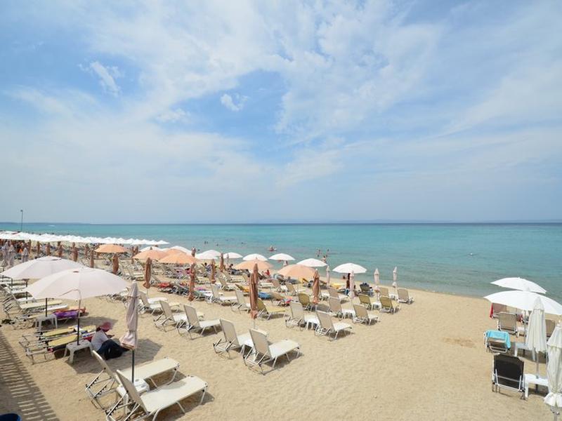 2B813DFBF889674DE812ED5916AC66BB