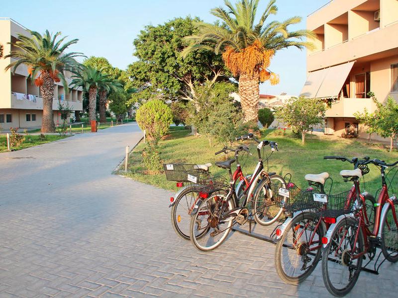 3FC6E44943E8CD9FE4A2B89206DDC1C2