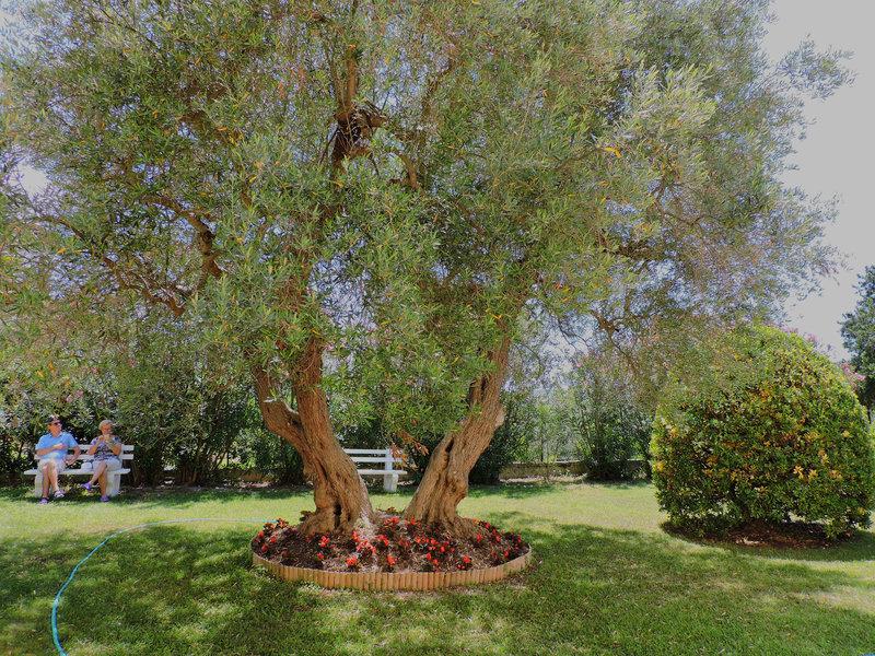 76E071B63DE9C14CAD5C8CFA17B03CFE