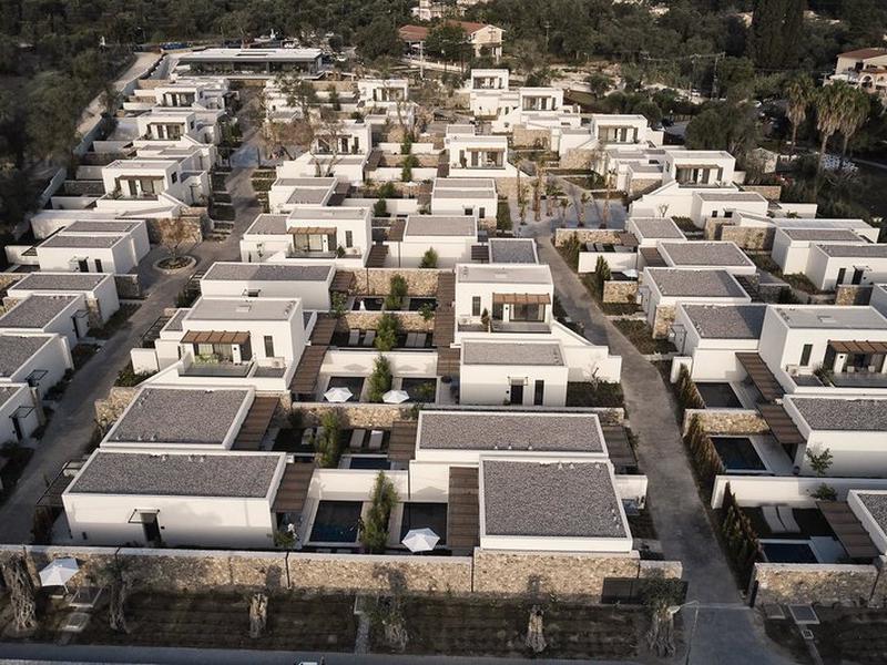 92EC813F65F0AA9B43DC241378ED3054