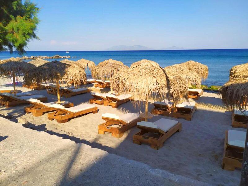 CFEA55E94E5B2C6C7975144462C2F6B8