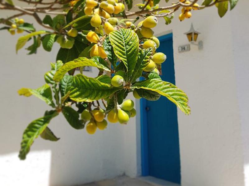 47FD6E25BBDEEB81BE6312EA772BD8CC