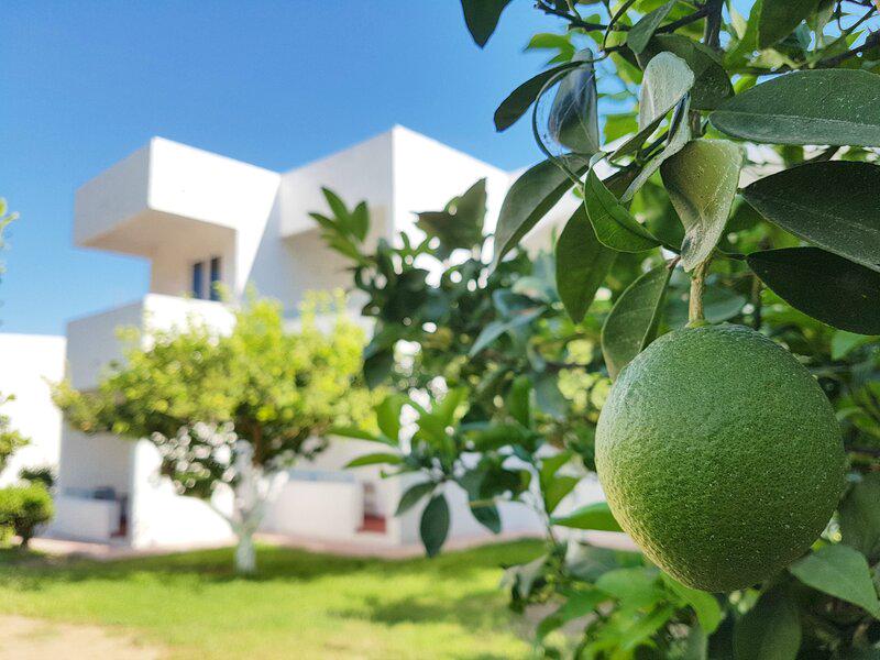 80940971A5BB1B209B9F65B140E72AD4