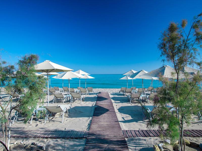 969A1D660E8E2C2698EDC4B11140F559