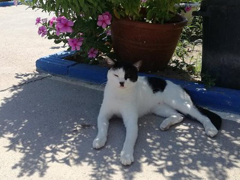 4F745475F71F5662A793867F5F9C82B7